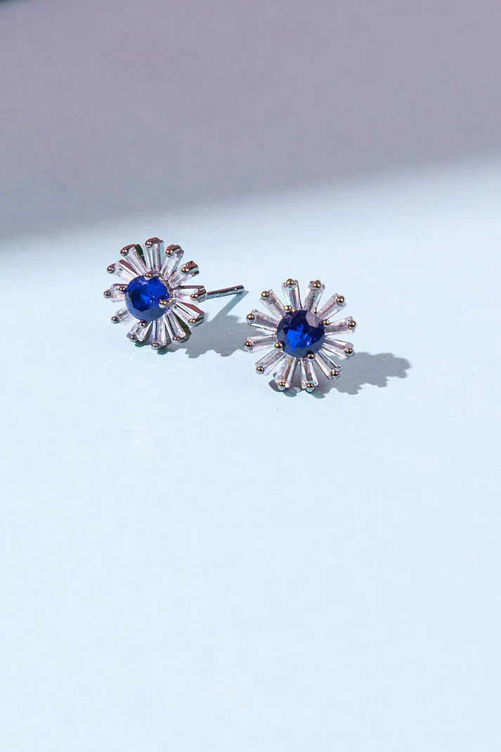 Blue Earrings