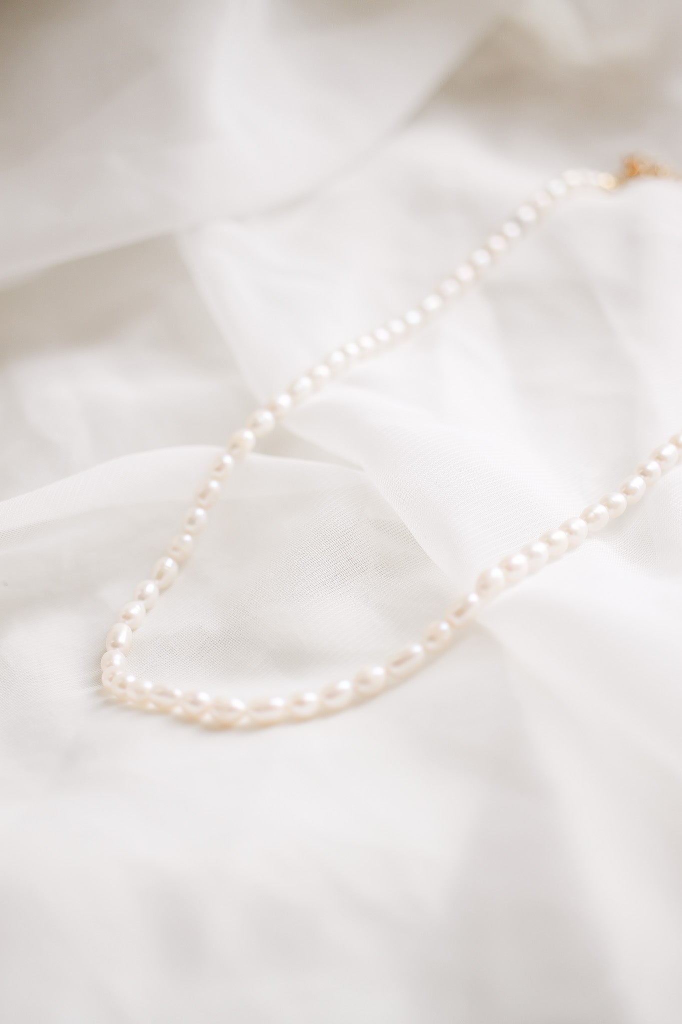 Cleo Freshwater Pearl Necklace