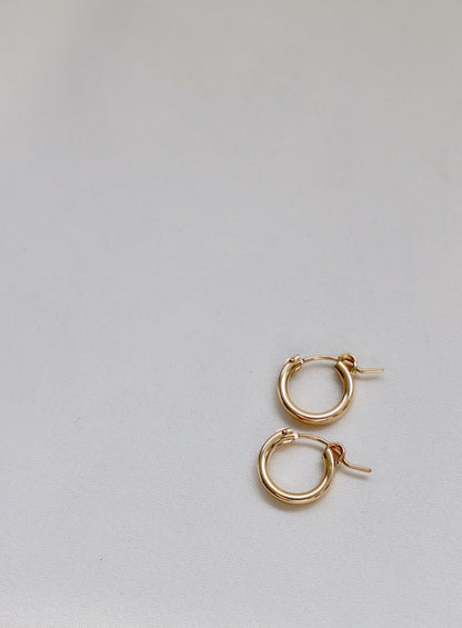 THE GOLD STANDARD HOOPS