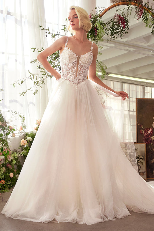 WL029-Lace & Tulle Bridal Ball Gown - Andrea & Leo