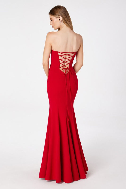 Poppy Maxi Dress - Strapless Fitted Dress